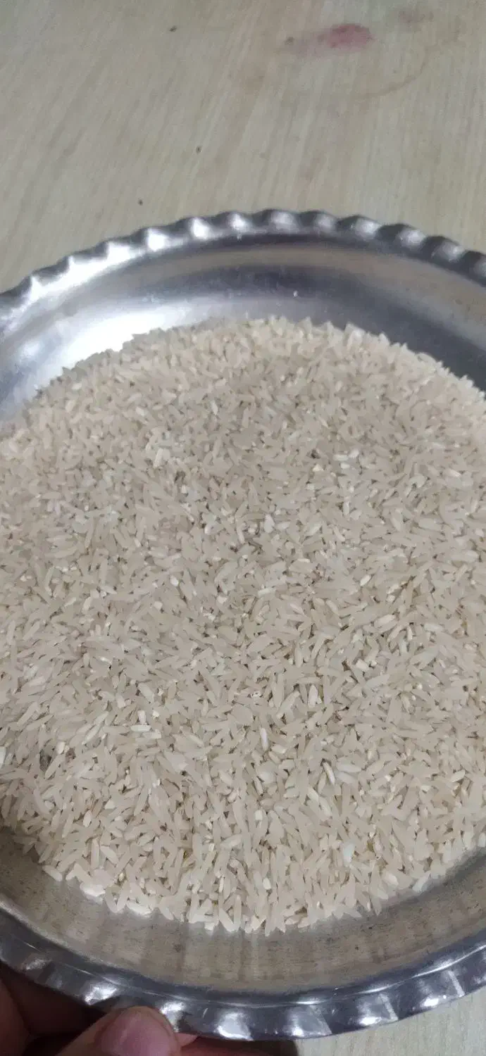 برنج عنبربو میمه|خوردنی و آشامیدنی|سراب میمه, |دیوار