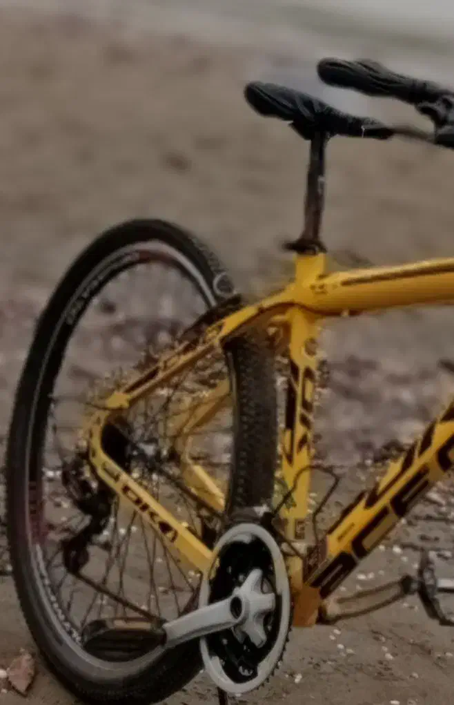 فروش دوچرخه|دوچرخه، اسکیت، اسکوتر|نور, |دیوار