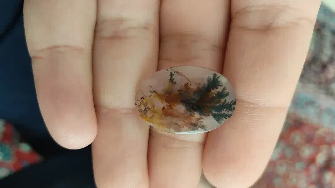 سنگ شجر|کلکسیون اشیاء عتیقه|بوکان, |دیوار