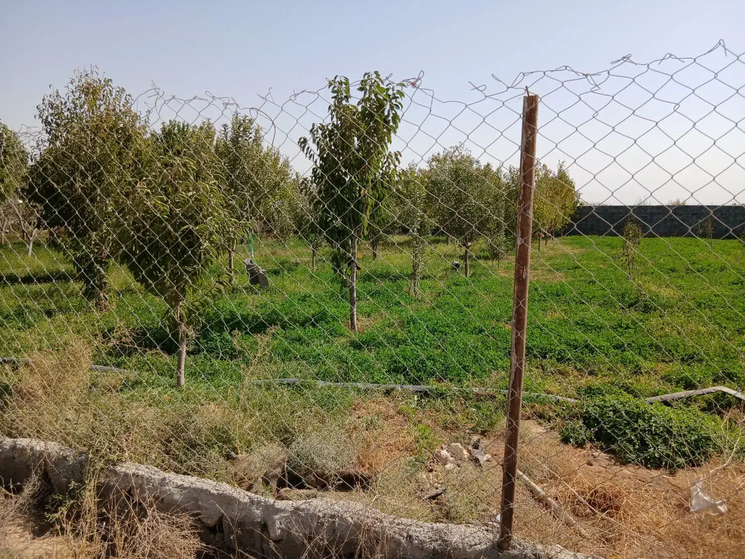 فنس|مصالح و تجهیزات ساختمان|بجنورد, |دیوار