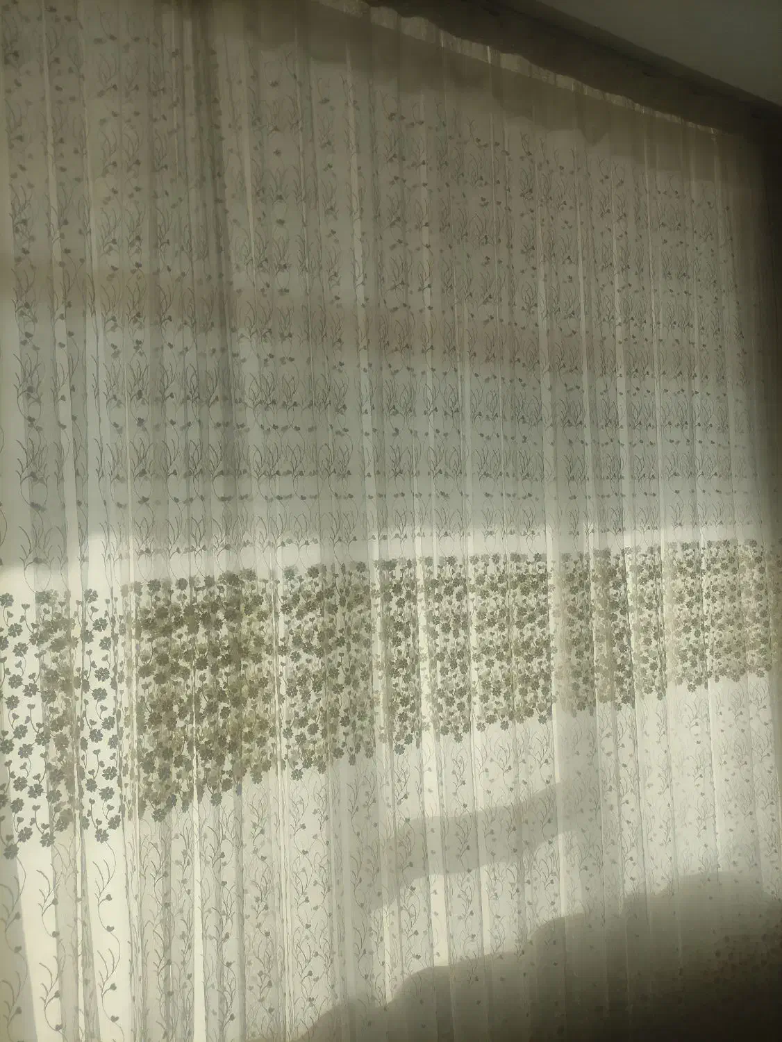 پرده|پرده، رانر، رومیزی|فلاورجان, |دیوار