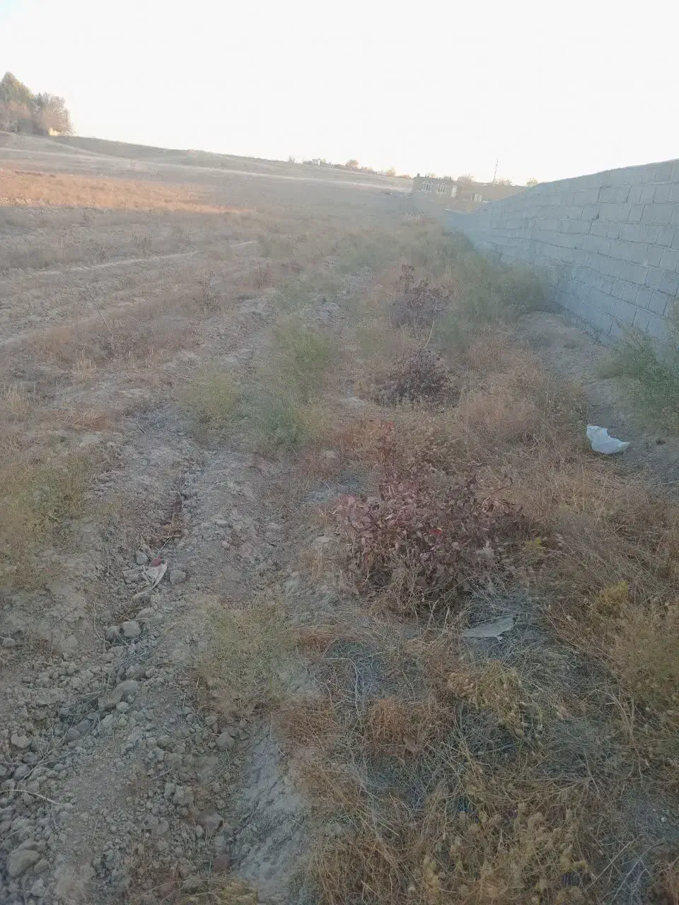 زمین|فروش زمین و ملک کلنگی|رضویه, |دیوار