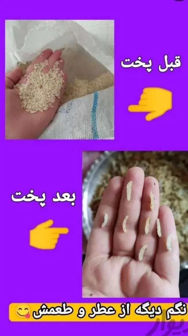 برنج اصلی کامفیروز|خوردنی و آشامیدنی|مهریز, |دیوار