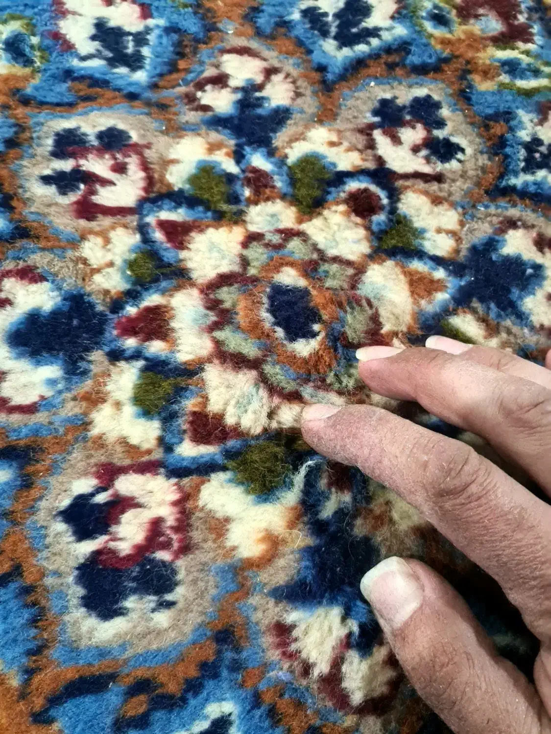 فرش دستبافت|فرش|شیراز, شاه قلی بیگی|دیوار