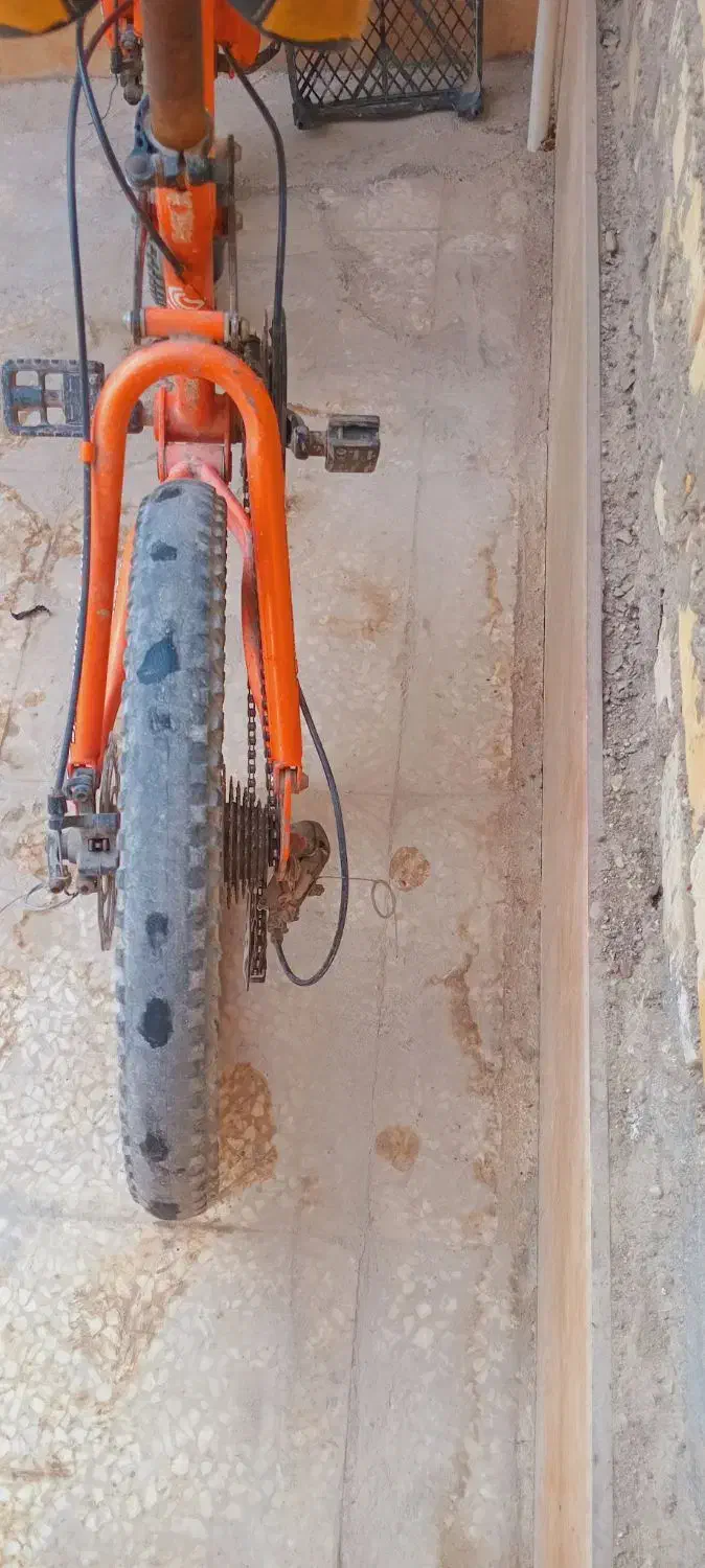 دوچرخه|دوچرخه، اسکیت، اسکوتر|شادگان, |دیوار