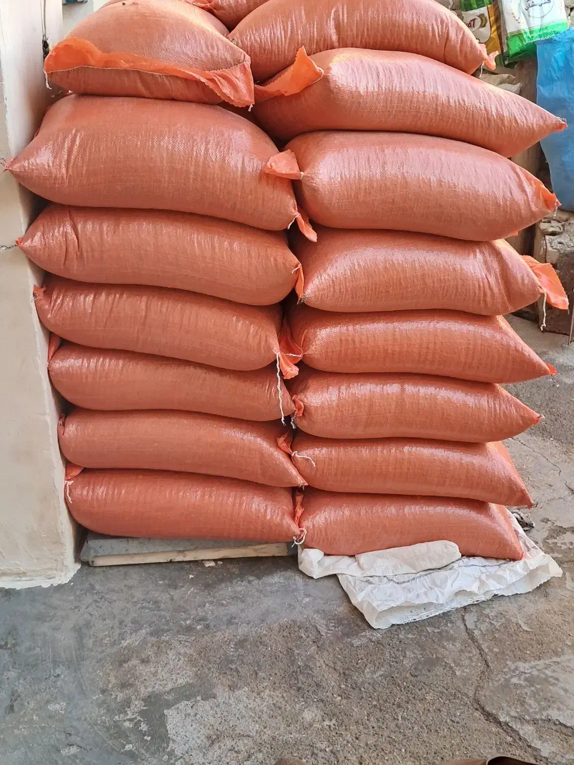 لوبیاقرمز رقم یاقوت|خوردنی و آشامیدنی|زنجان, |دیوار