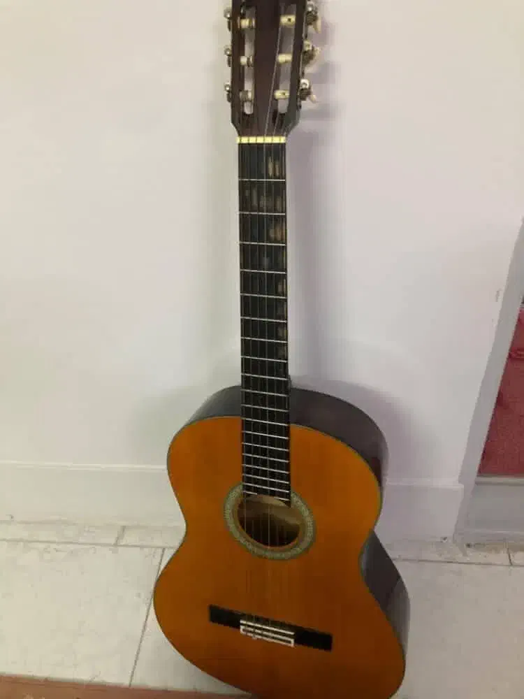 گیتار AK20 Arya|گیتار، بیس، امپلیفایر|قزوین, |دیوار