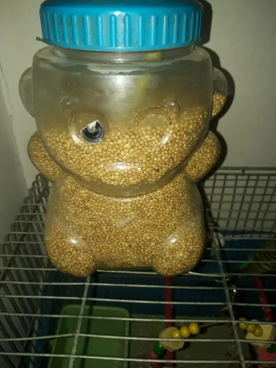 دو عدد مرغ عشق نر و ماده با دو تخم|پرنده|شهریار, دهشاد پائین|دیوار