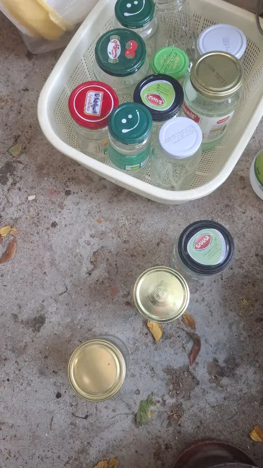 بطری شیشه ای|ظروف نگهدارنده، پلاستیکی، یک‌بارمصرف|قیدار, |دیوار