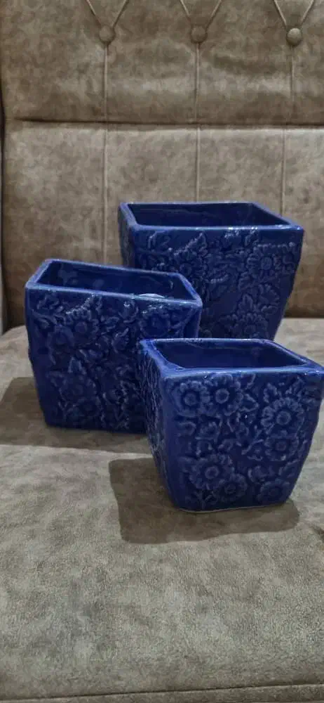 گلدون|گل و گیاه طبیعی|قم, قلعه یزدیها|دیوار