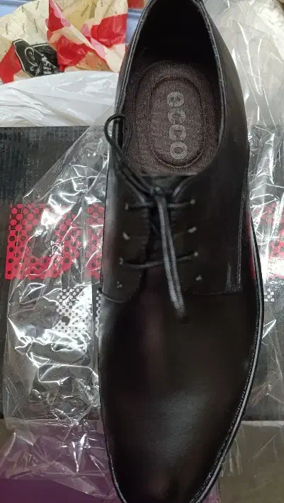 کت و شلوار مردونه کفش مردانه زنانه|لباس|کرمان, |دیوار