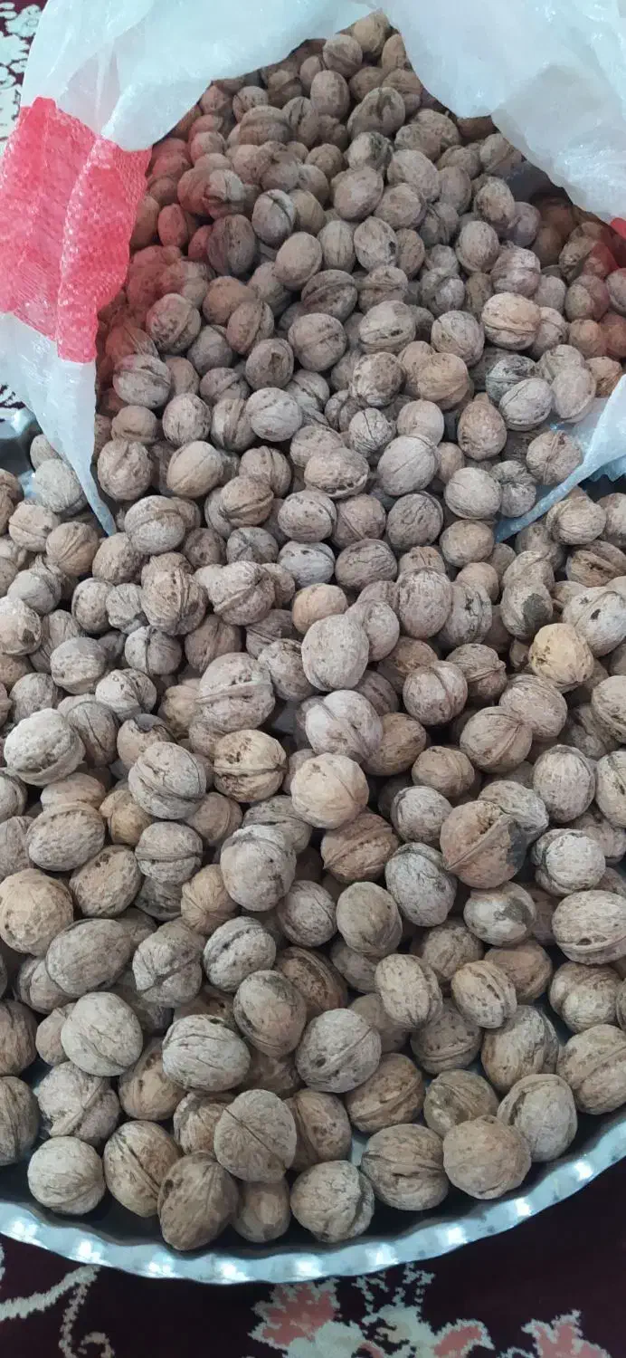 گردو نهال|خوردنی و آشامیدنی|جوانرود, |دیوار