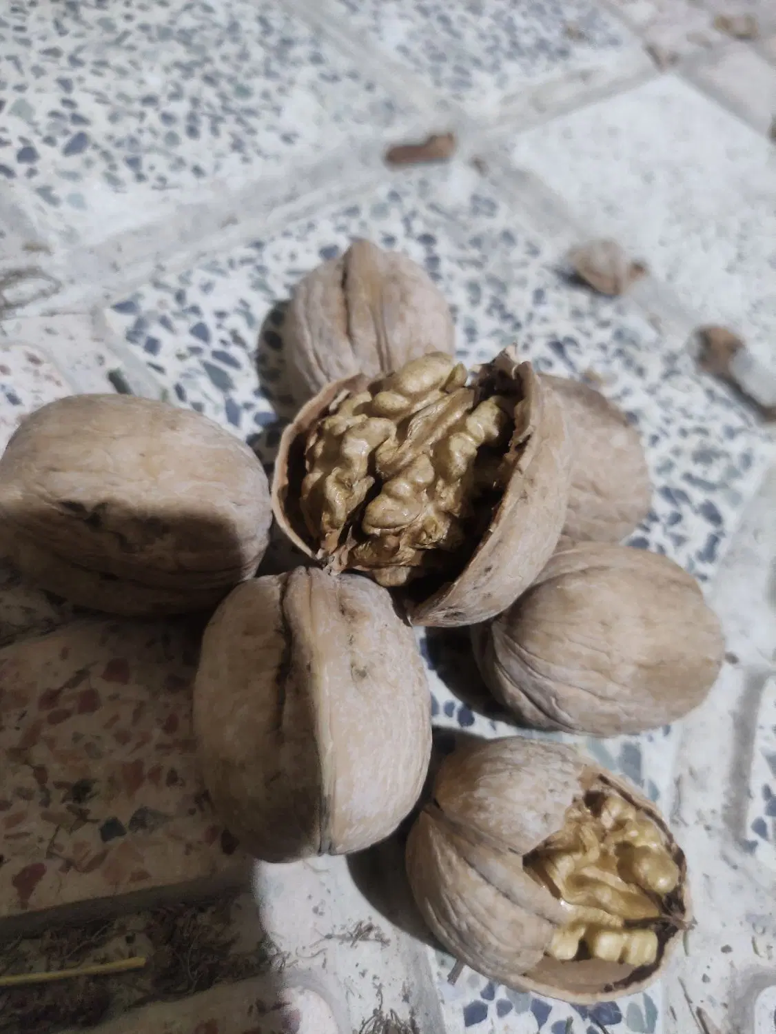 گردو|خوردنی و آشامیدنی|یاسوج, |دیوار