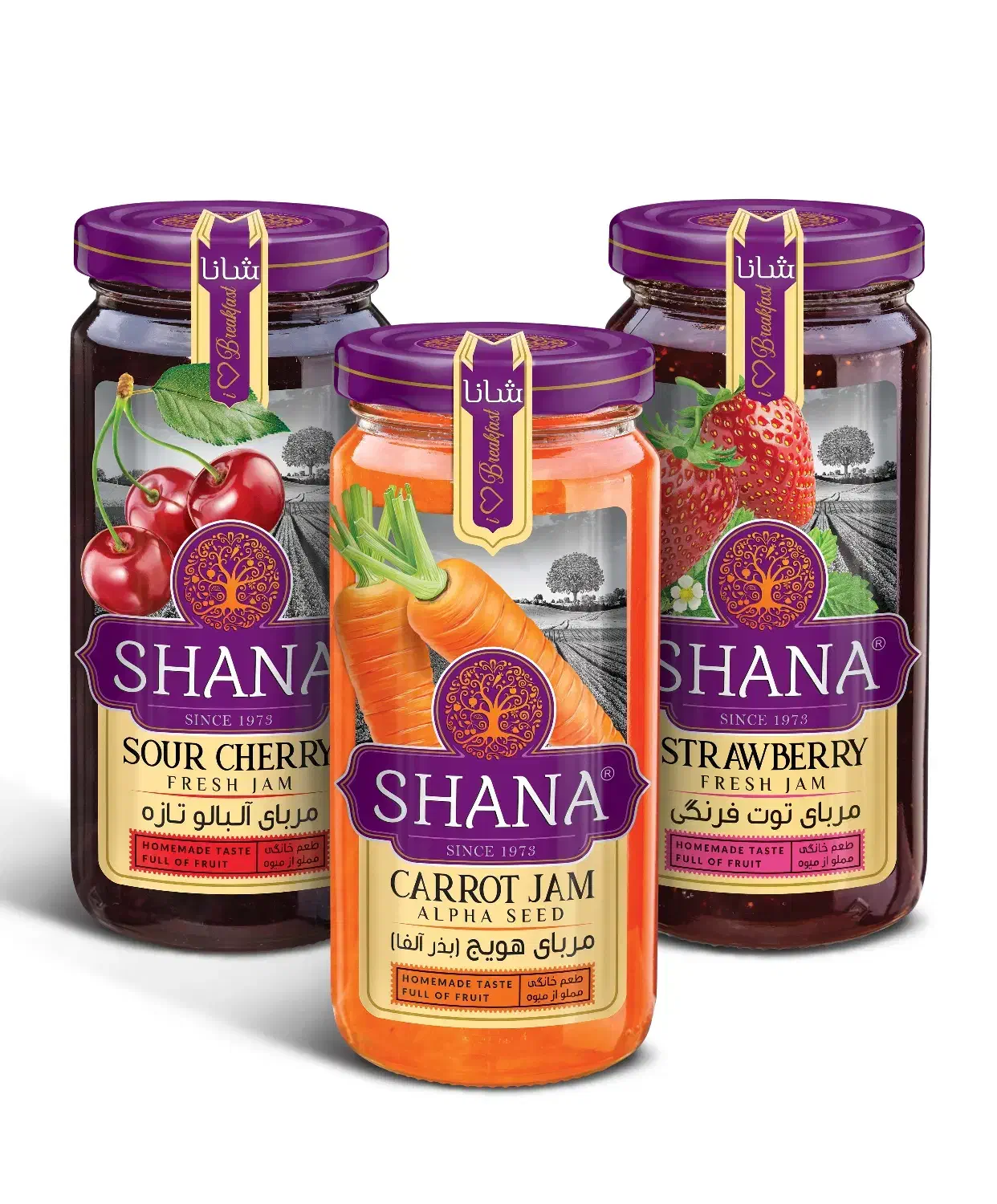 آگهی استخدام هلدینگ راد مجری پخش انحصاری|استخدام بازاریابی و فروش|اردبیل, |دیوار