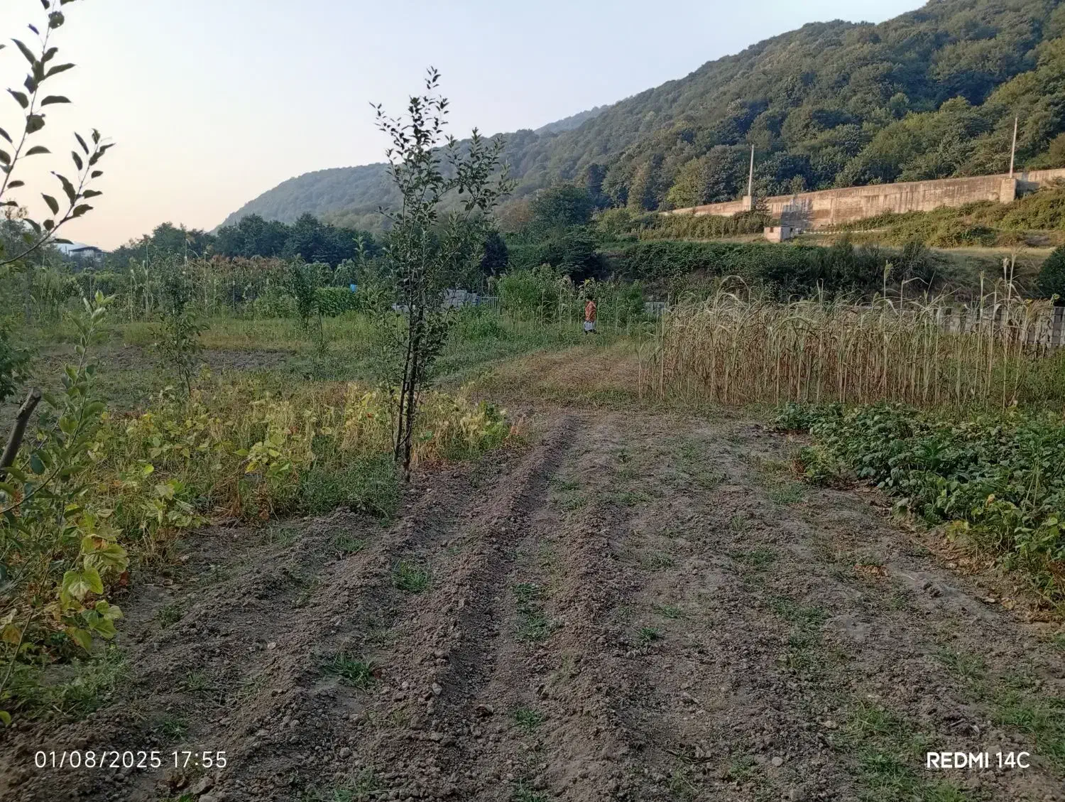 زمین باغی مازندران سوادکوه|فروش زمین و ملک کلنگی|زیرآب, |دیوار