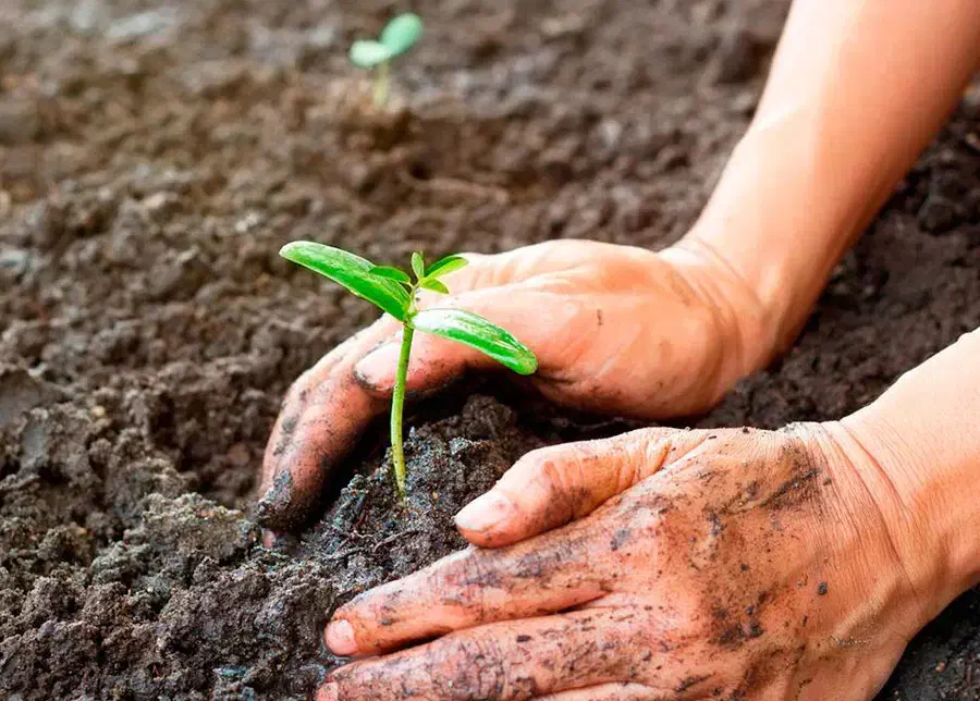 حمل شن و ماسه مستقیم از معدن آمل بدون واسطه|عمده‌فروشی|چالوس, |دیوار