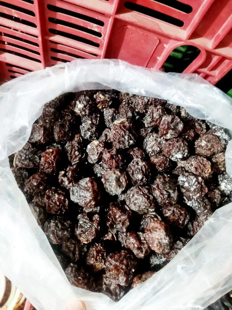 آلوچه سیاه مراغه|خوردنی و آشامیدنی|سراجو, |دیوار