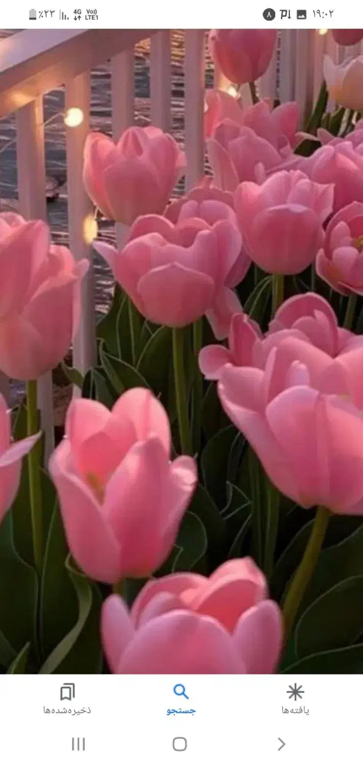 گل وماشین عروس|گل مصنوعی|زنجان, |دیوار