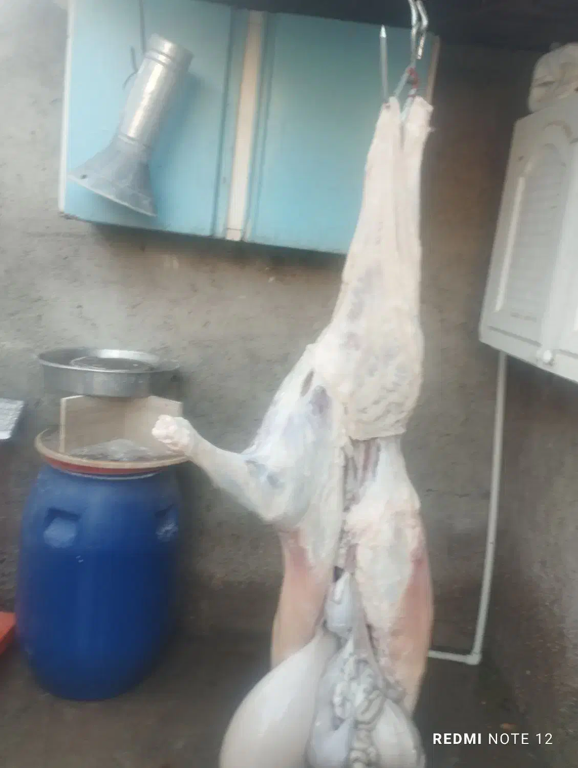 گوشت بره چاق کبابی|خوردنی و آشامیدنی|مسجد سلیمان, |دیوار