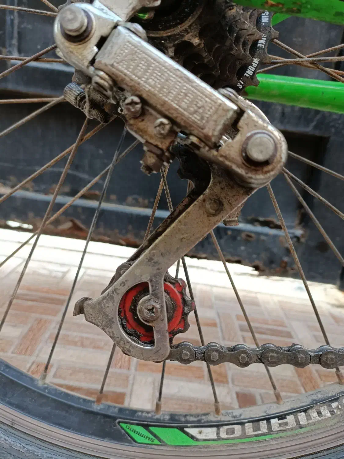 دوچرخه 24|دوچرخه، اسکیت، اسکوتر|بوشهر, |دیوار