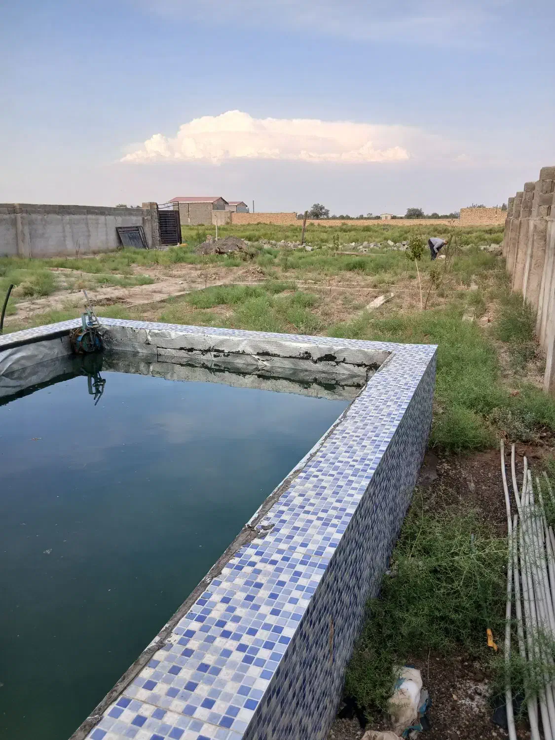 قطعه باغ در علیشاه|فروش خانه و ویلا|شبستر, |دیوار