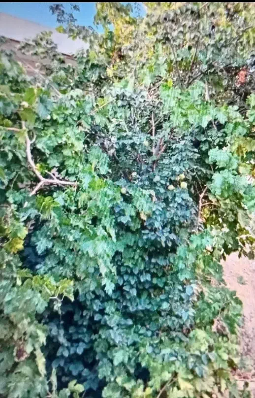 ساختمان کلنگی وزمین مسکونی|فروش زمین و ملک کلنگی|مهدی شهر, |دیوار