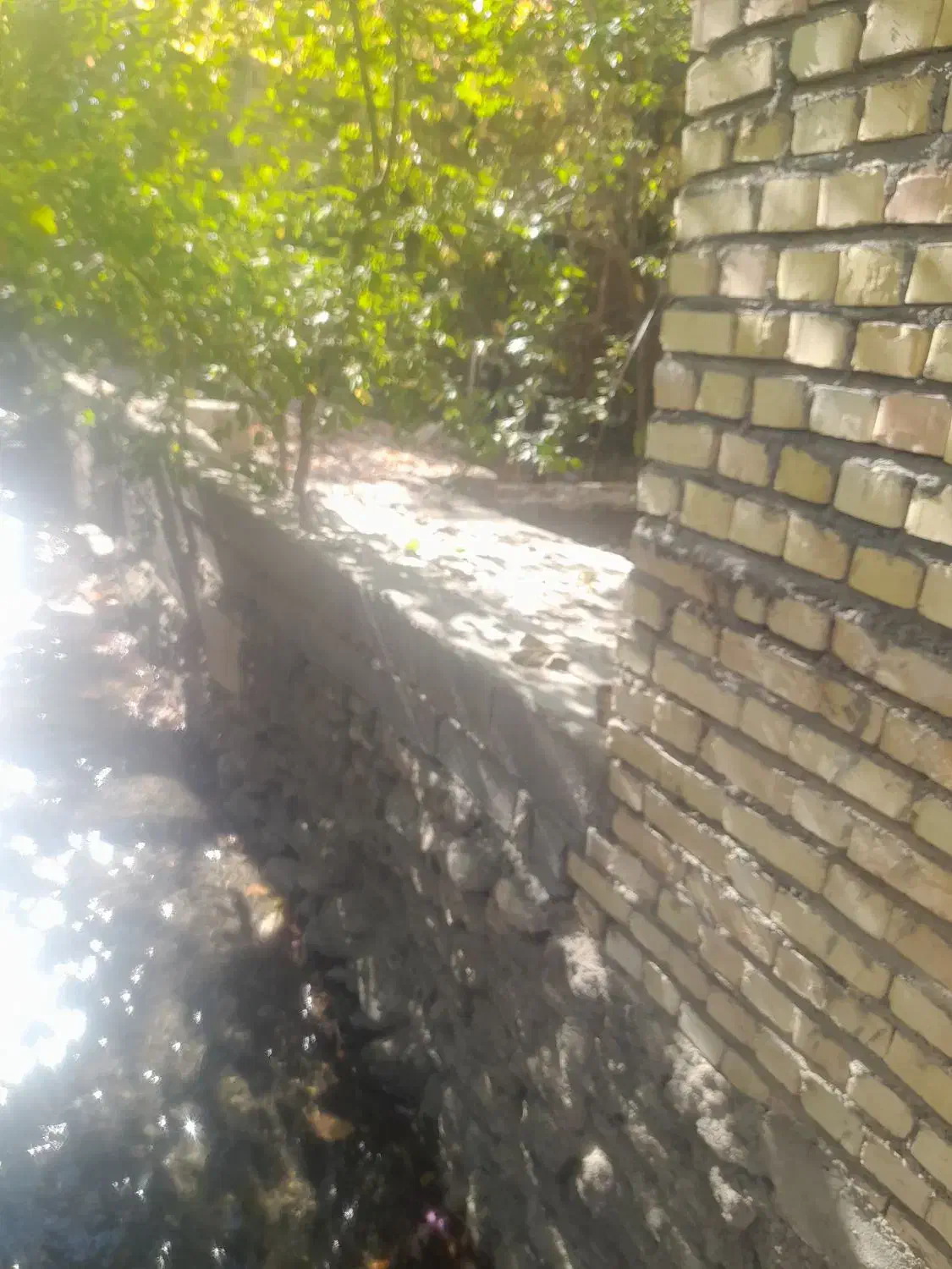 پیمانکاری وباغبانی|خدمات پیشه و مهارت|شاندیز, |دیوار