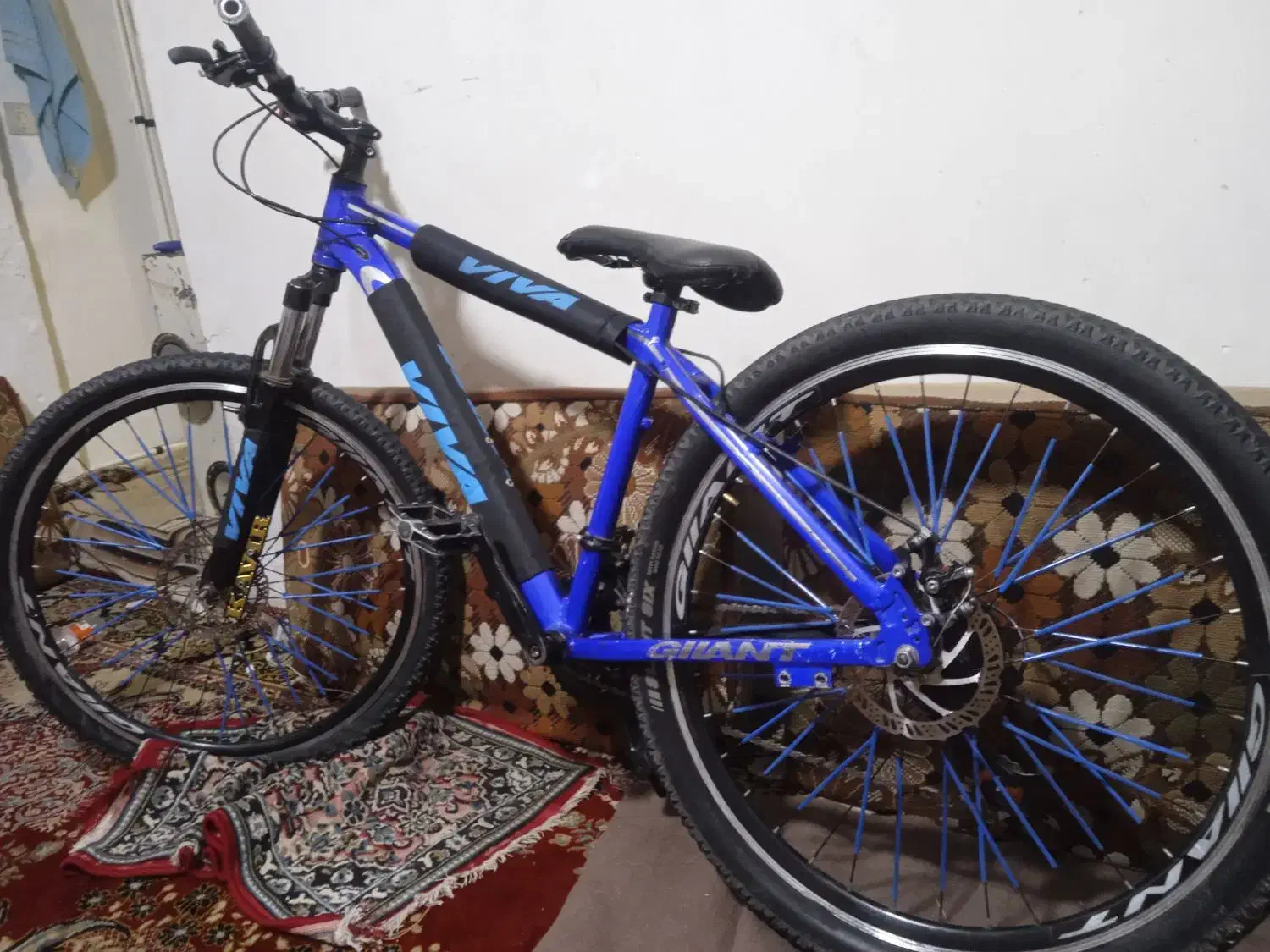 دوچرخه|دوچرخه، اسکیت، اسکوتر|اقبالیه, |دیوار