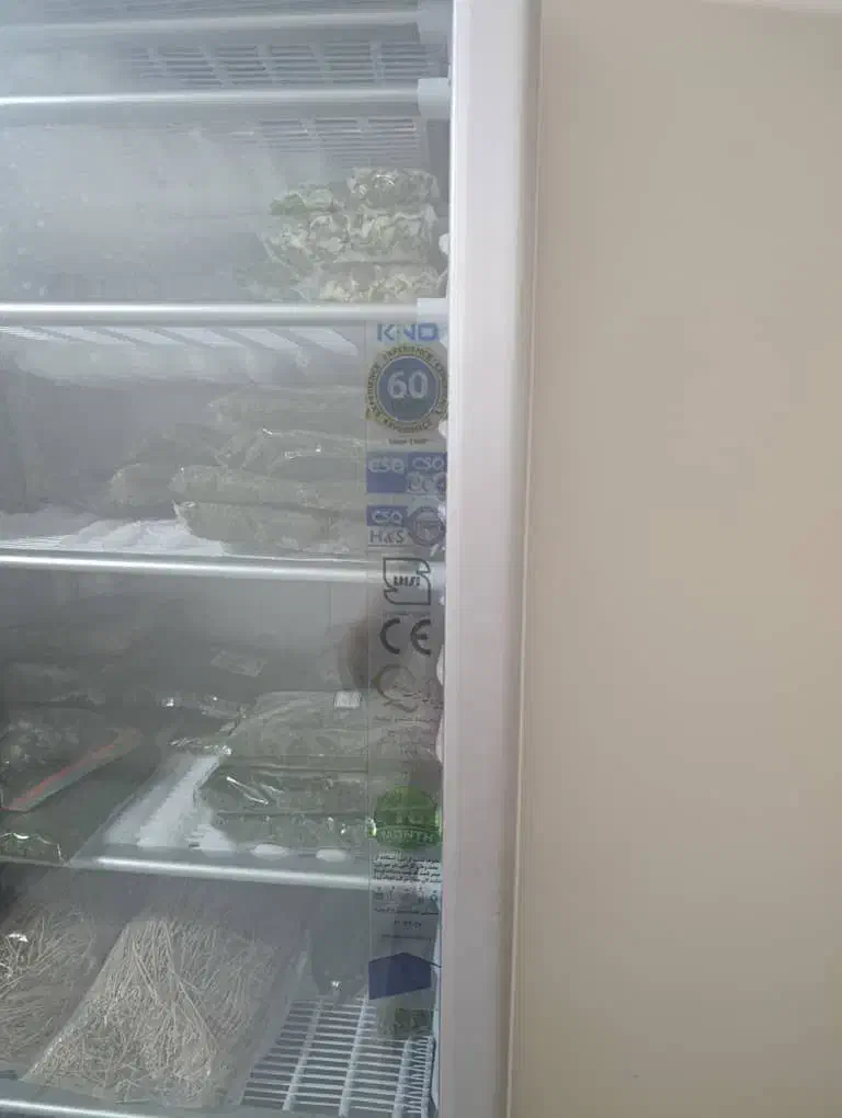 فریزر صنعتی کینو|فروشگاه و مغازه|زرند, |دیوار