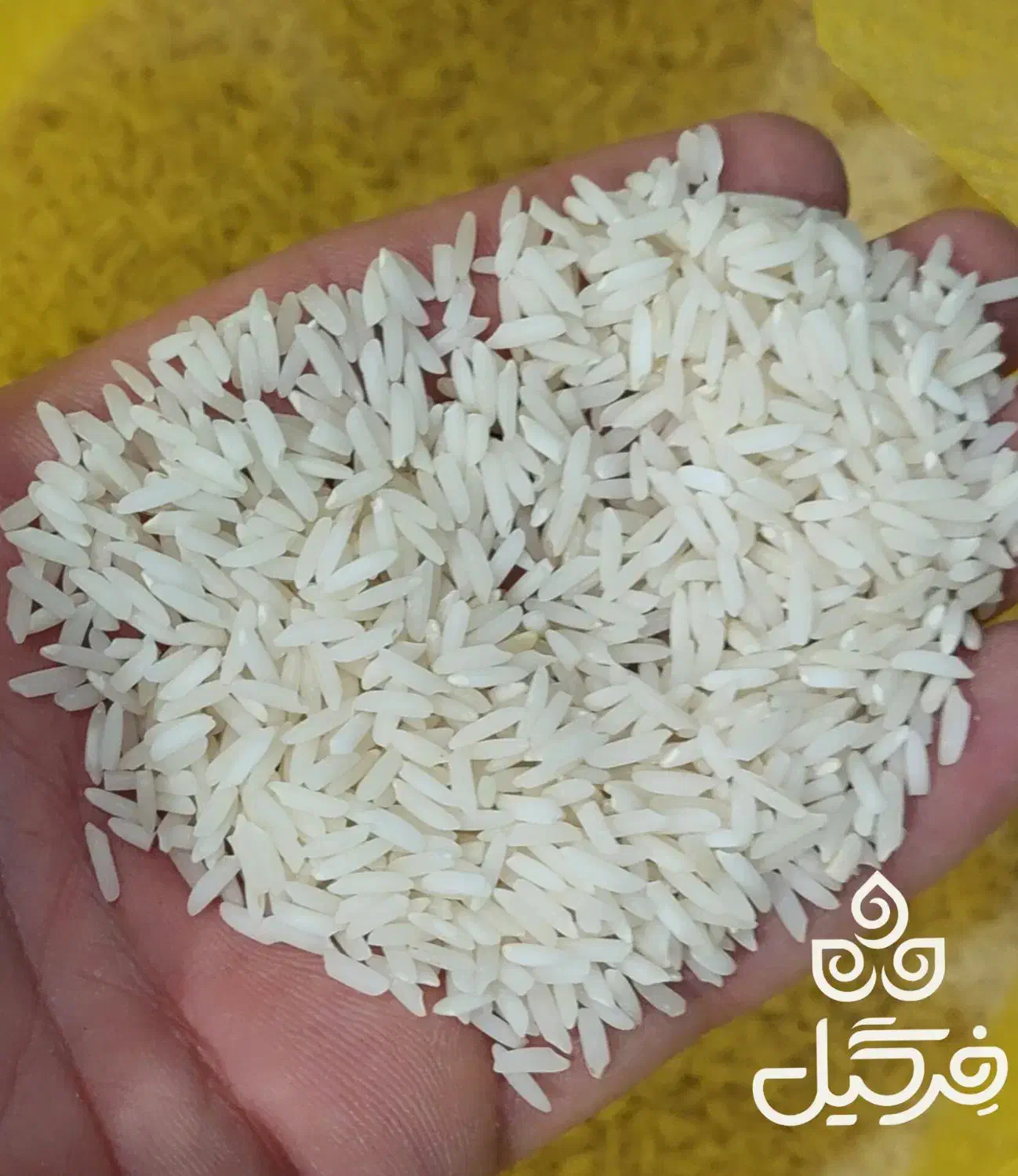 برنج هاشمی|خوردنی و آشامیدنی|هشتگرد, گلسار|دیوار