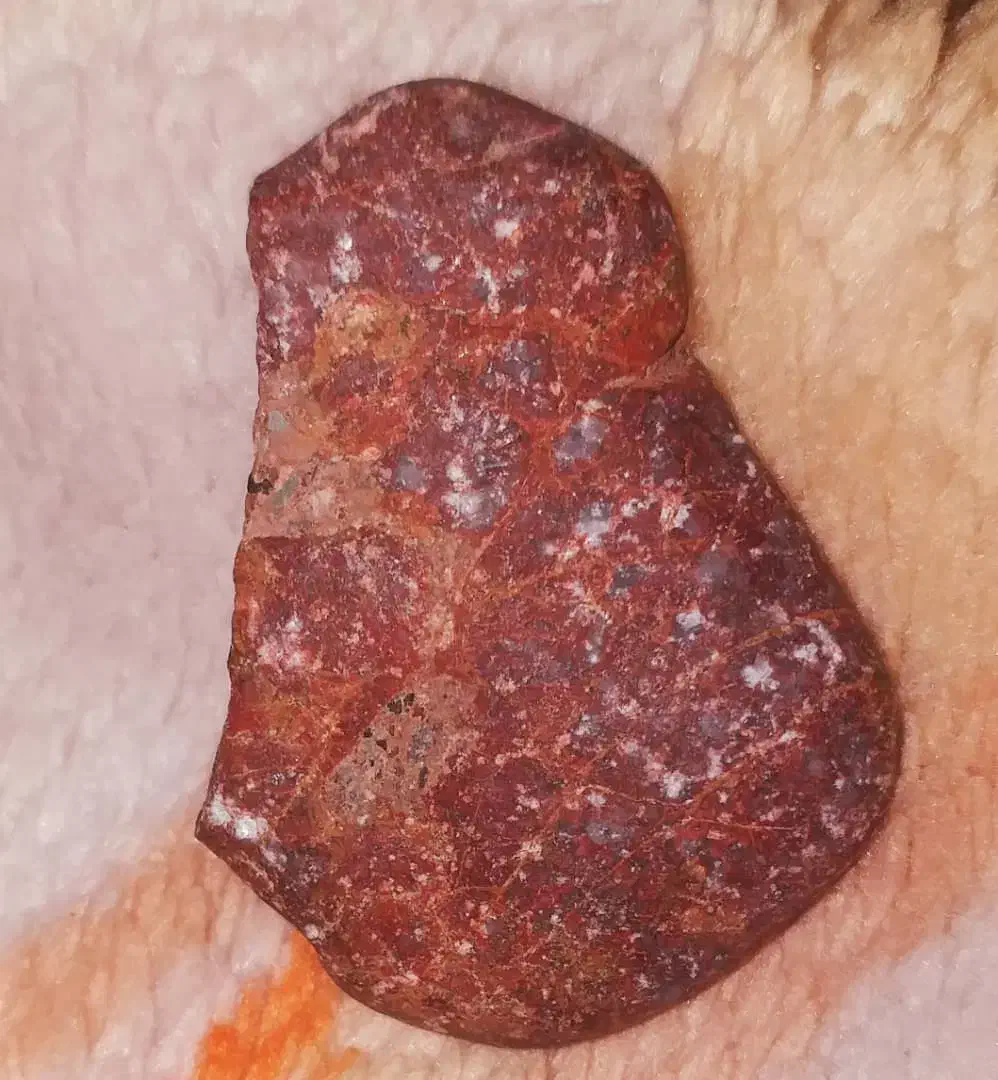 لبیک|جواهرات|ارومیه, |دیوار