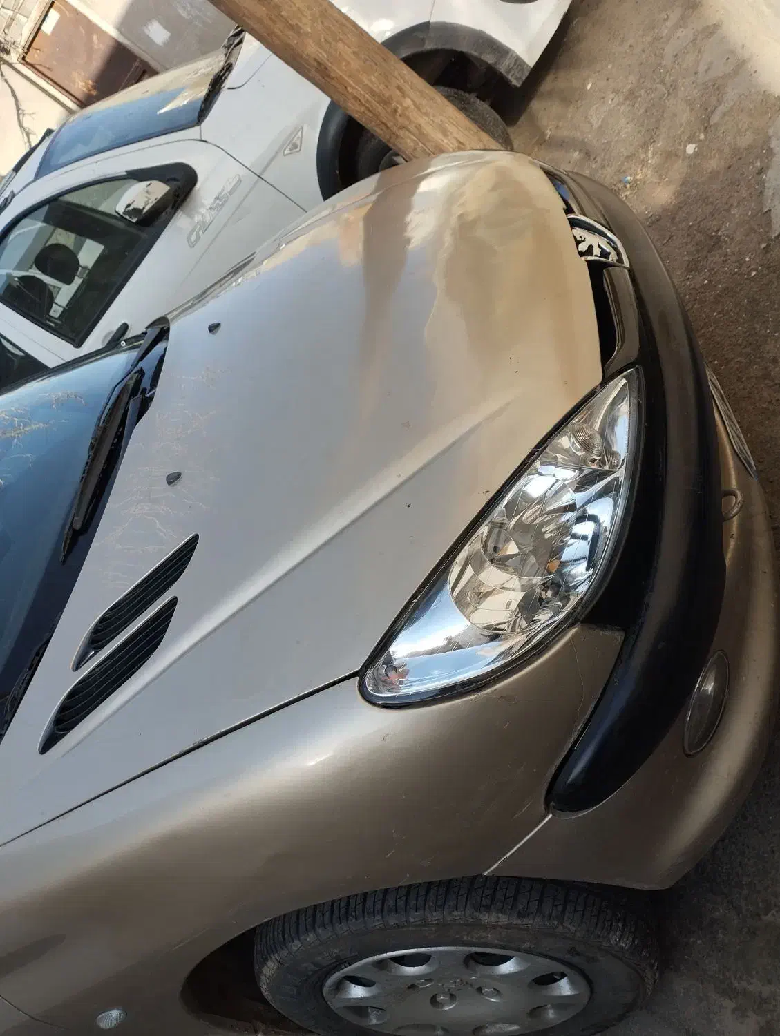 206 تیپ 2|خودرو سواری و وانت|تربت جام, مولانا|دیوار