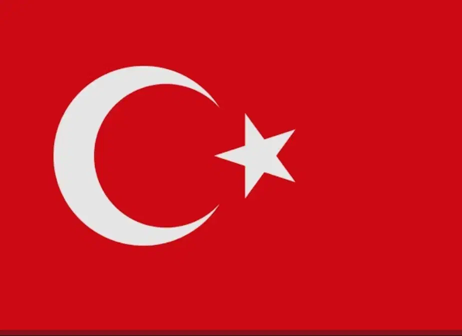 تدریس انلاین زبان ترکی استانبولی با بهترین قیمت|خدمات آموزشی|ری, شهید بهشتی|دیوار