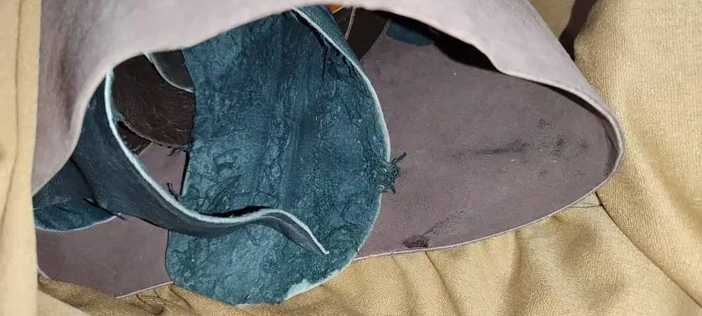 چرم طبیعی|کیف، کفش، کمربند|بندرعباس, |دیوار