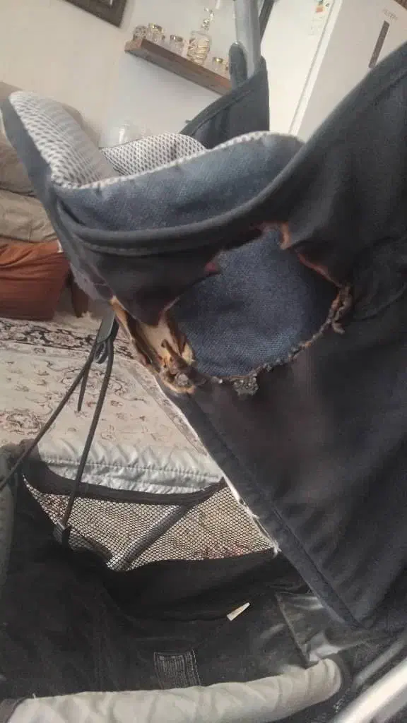 کالسکه|کالسکه و لوازم جانبی|شاهین‌شهر, نظامی|دیوار