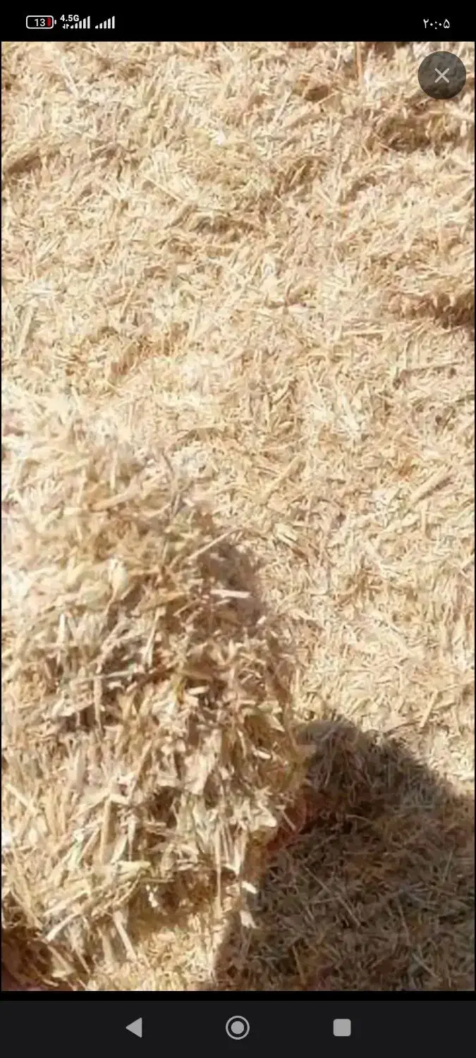 کاه گندم|عمدهفروشی|ارشق, |دیوار