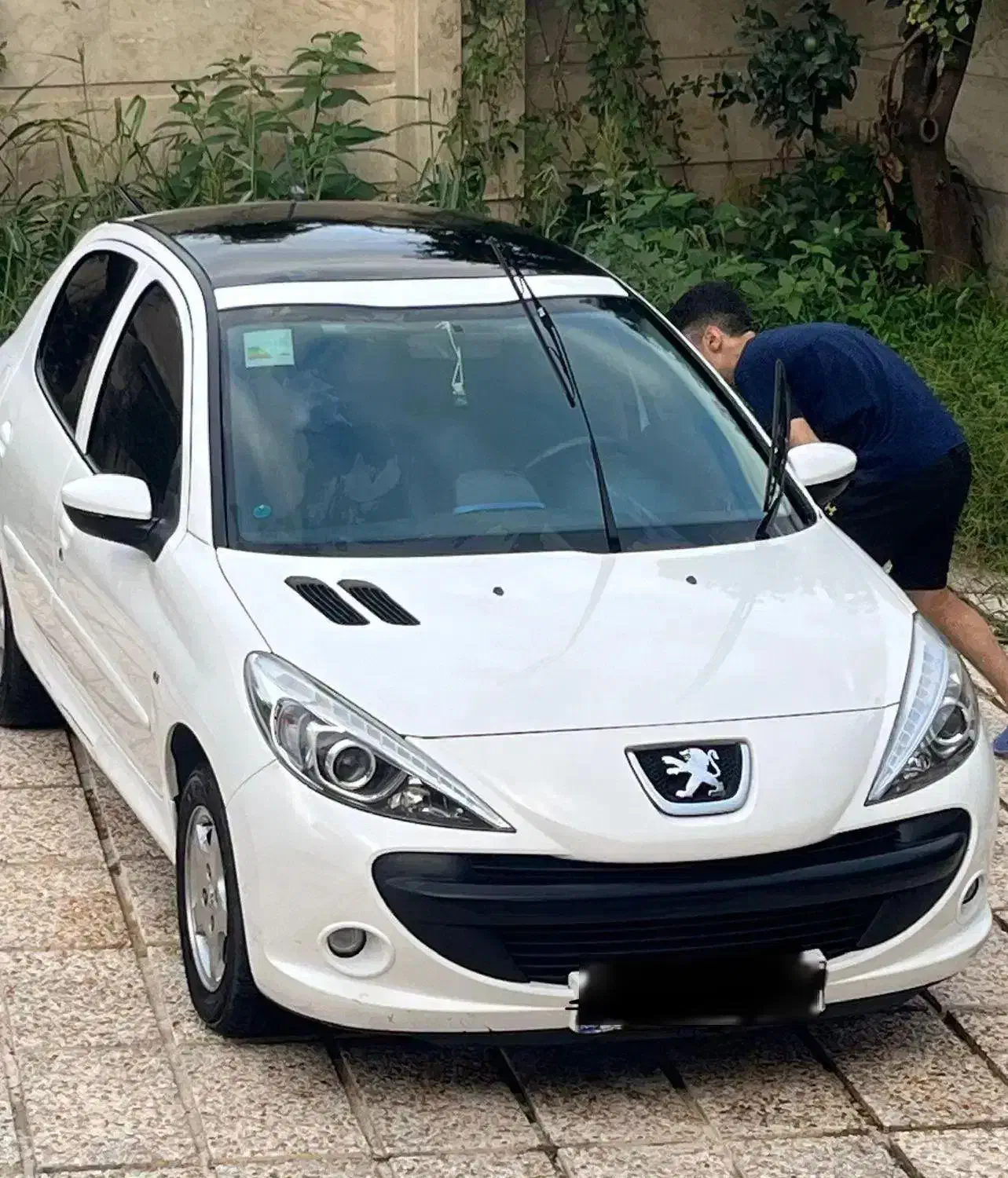 207 پانو|خودرو سواری و وانت|زاهدان, |دیوار