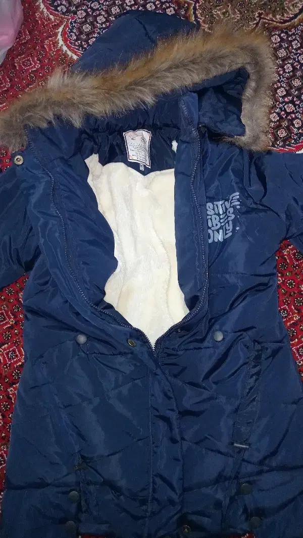 دو عدد کاپشن نو|لباس|دالاهو, |دیوار