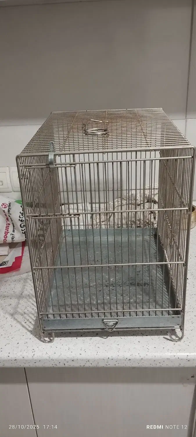 قفس صفایی سهره|لوازم جانبی حیوانات|ری, شهید غیوری (ابن باویه)|دیوار