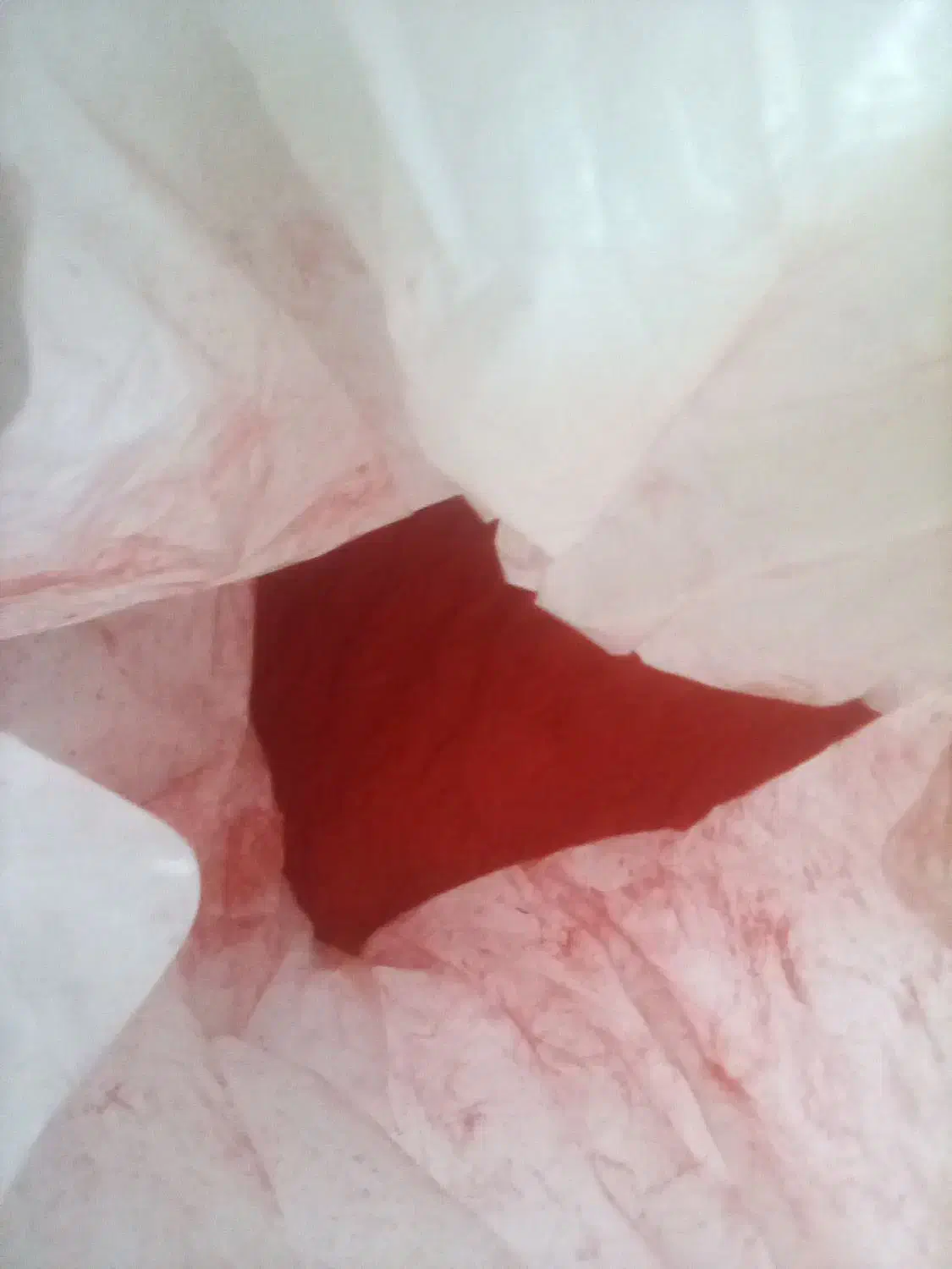 فروش موتور۵/۵ ۳۰۰۰دور سه فاز  و رنگ پودری  مشعل|ابزارآلات|قائمشهر, |دیوار