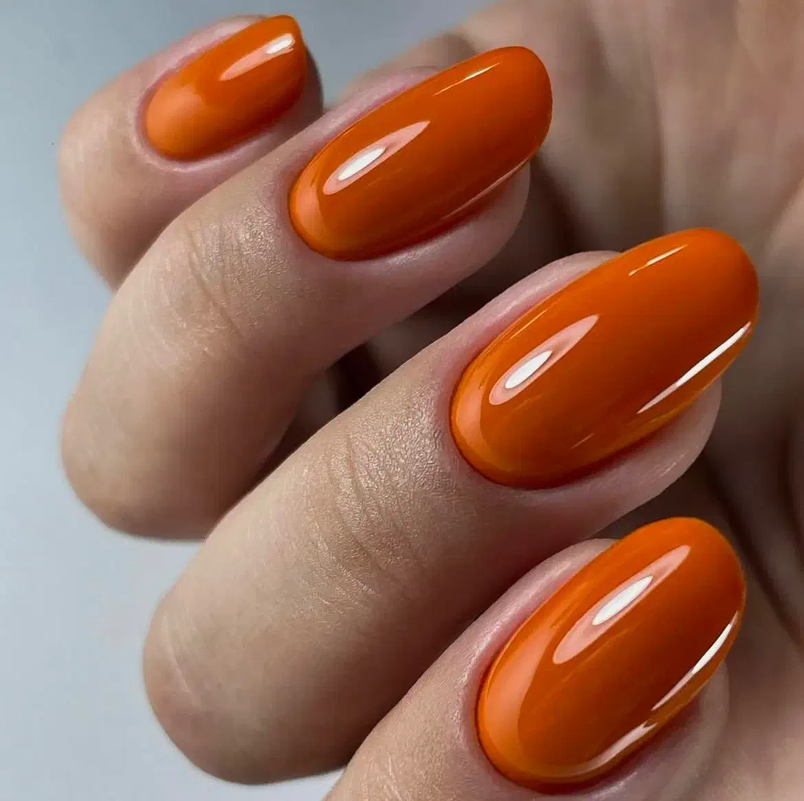 آموزش ناخن دو میلیون|خدمات آموزشی|اردبیل, |دیوار