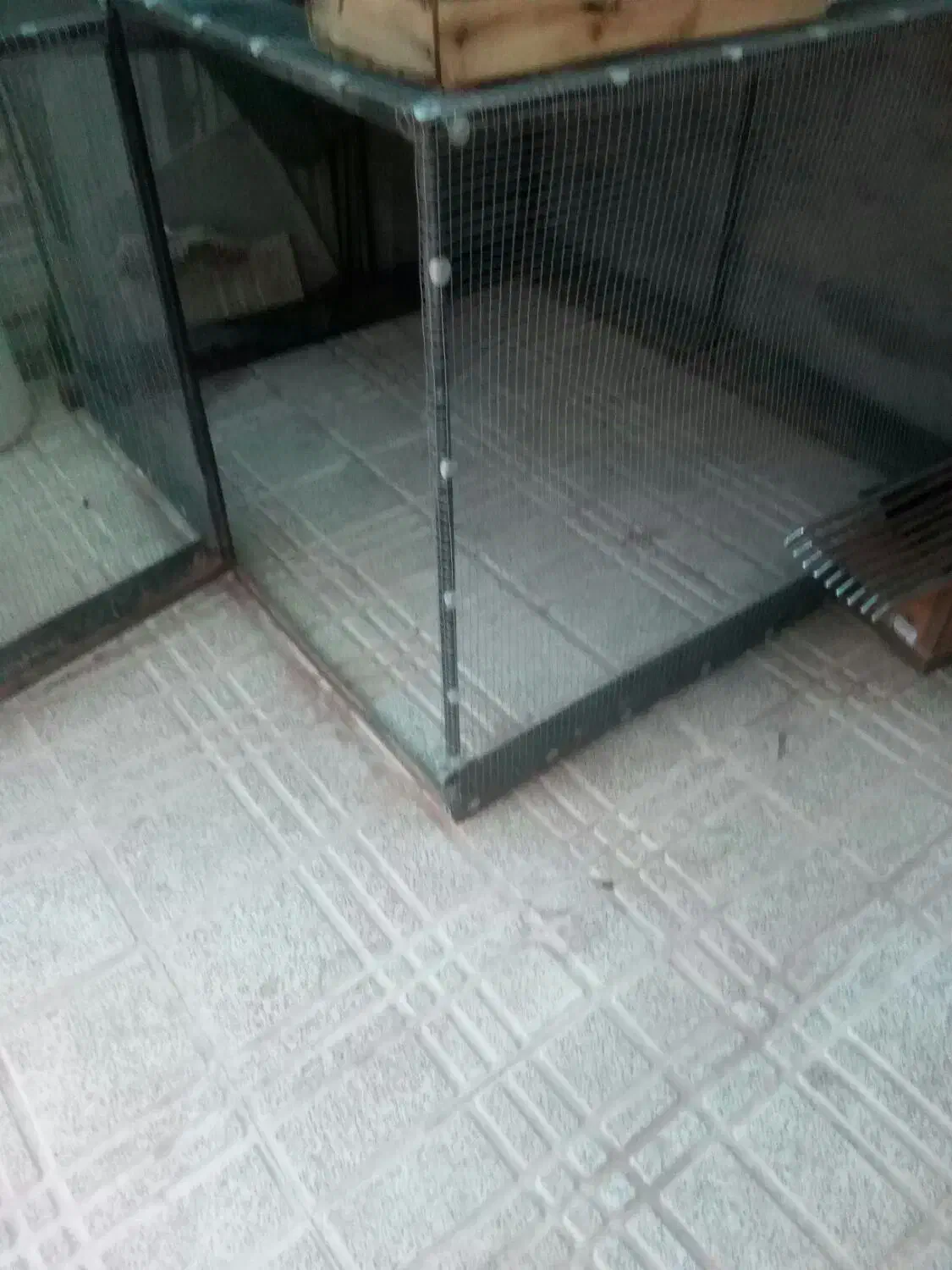 قفسبزرگ|پرنده|بروجن, |دیوار