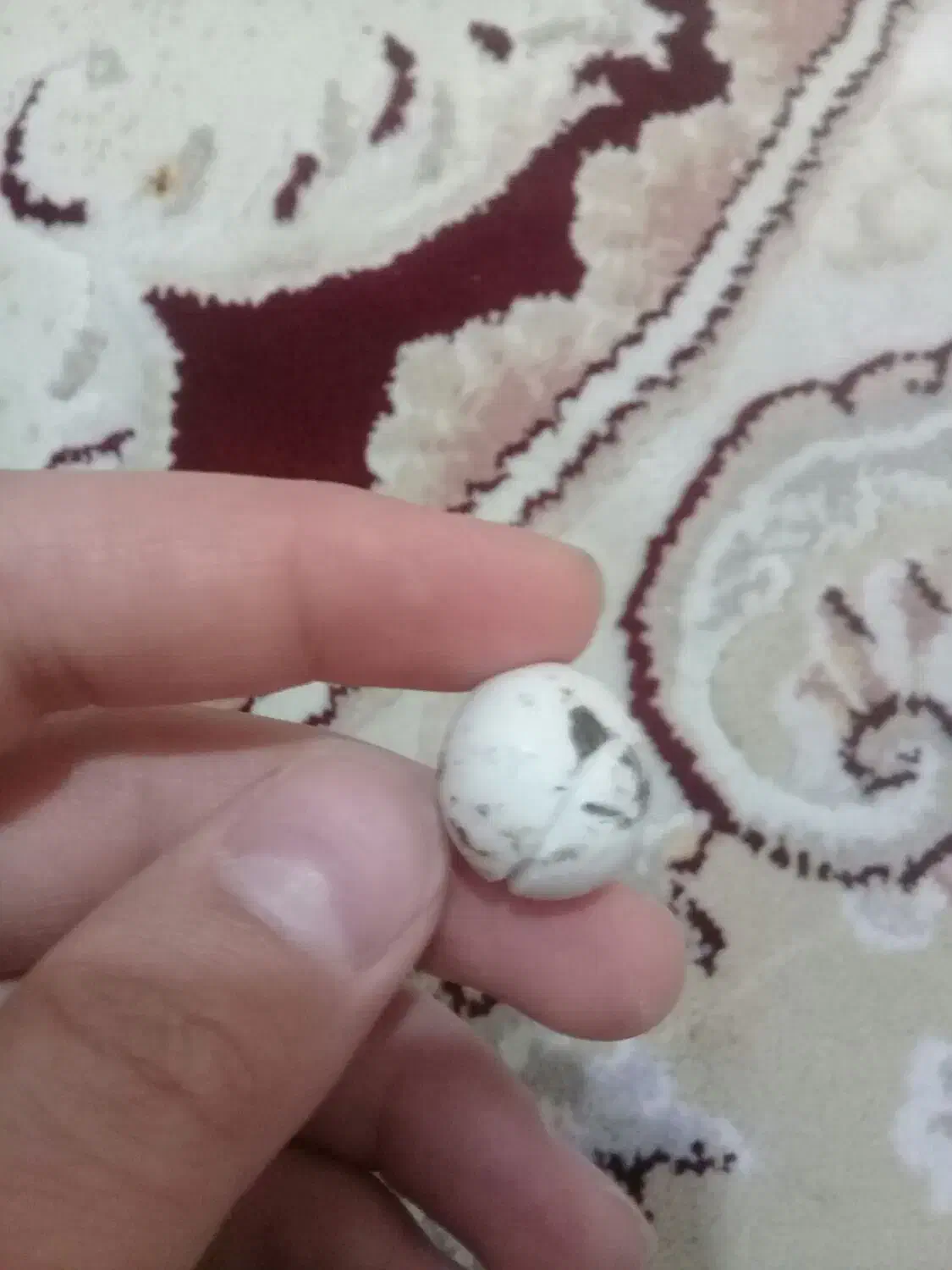 سنگ آسیاب یا الماس|کلکسیون اشیاء عتیقه|آبیک, |دیوار