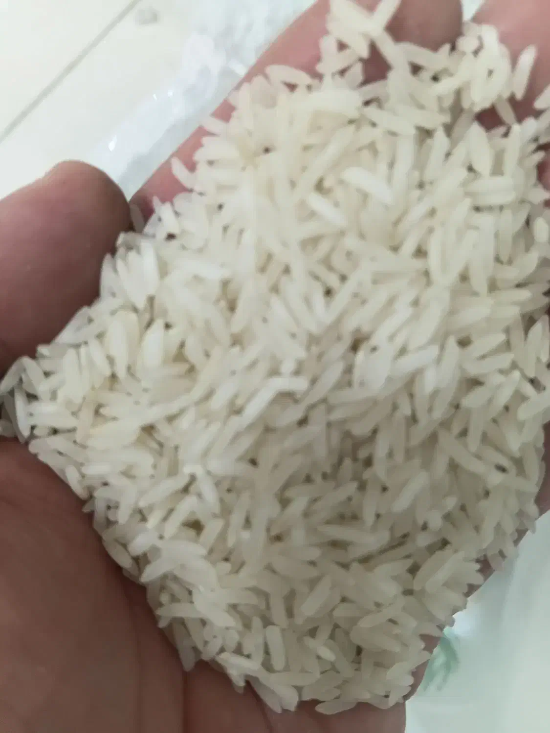 برنج طارم دمسیاه به شرط پخت|خوردنی و آشامیدنی|گرگان, |دیوار