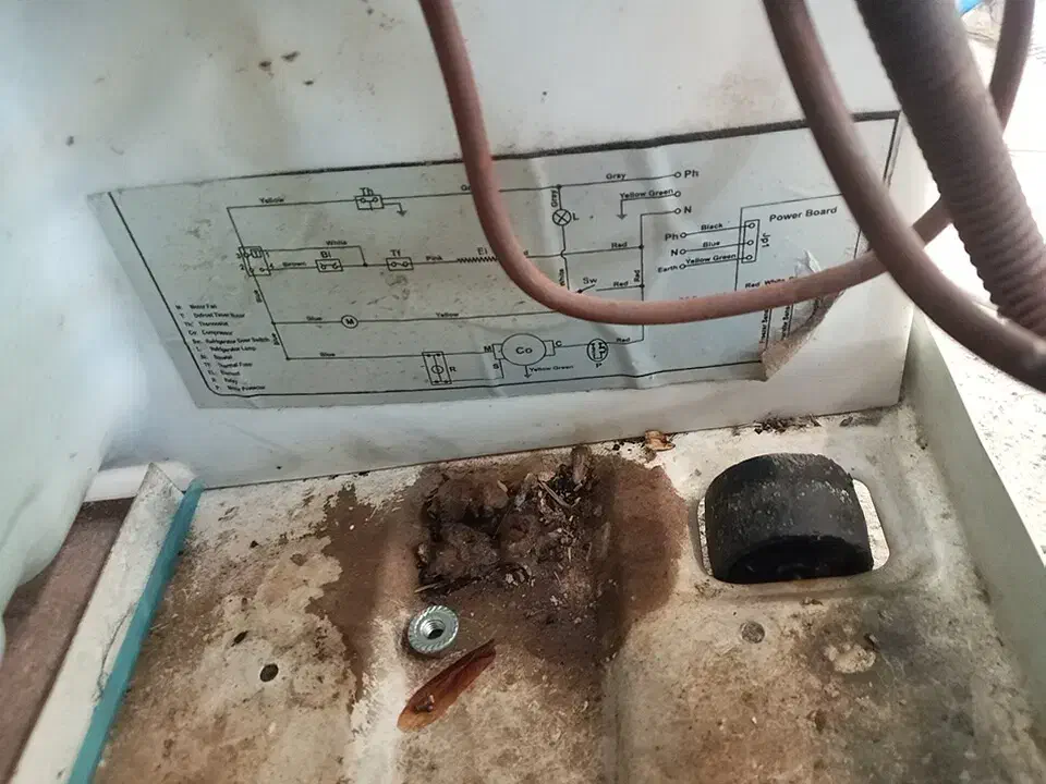 تعمیر یخچال در منزل ضمانتی|خدمات پیشه و مهارت|اردکان, |دیوار