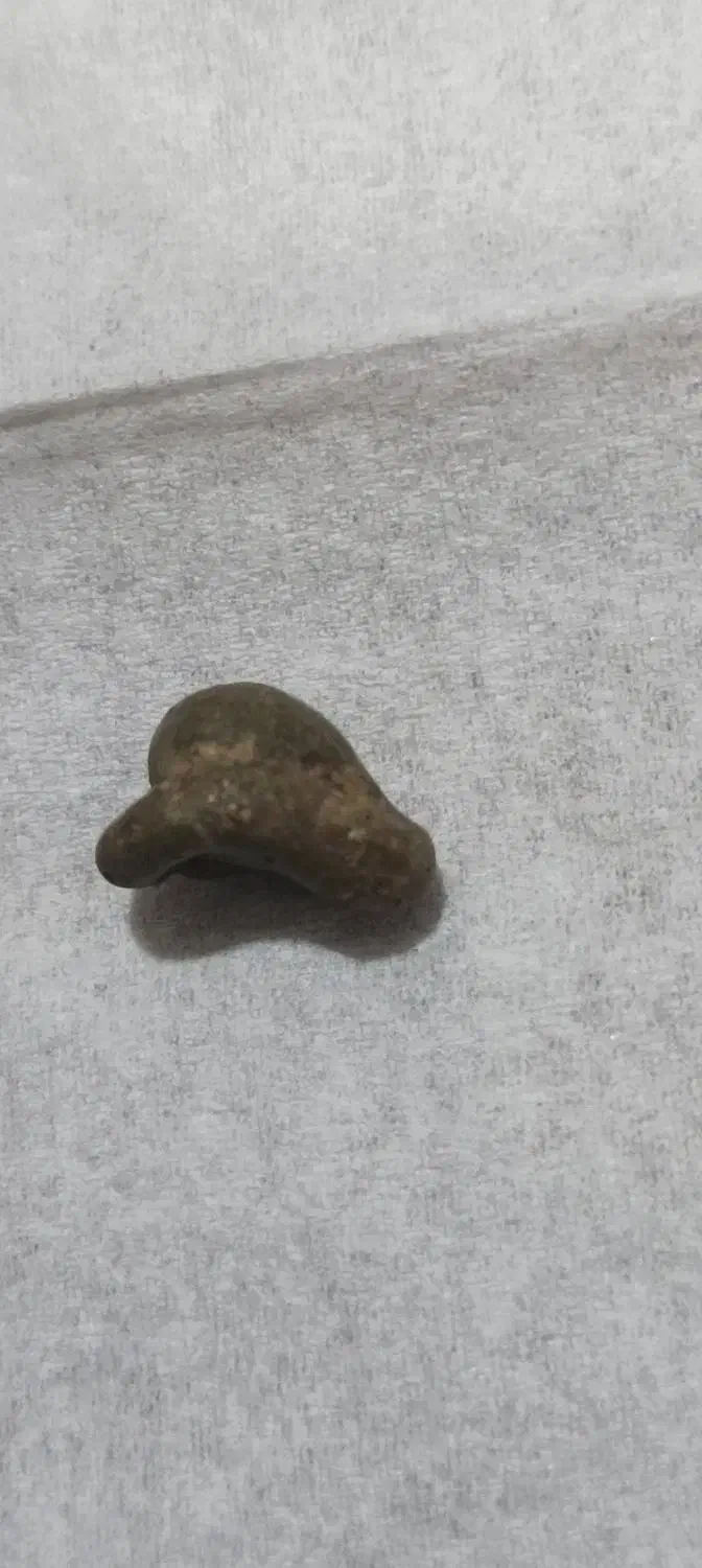 فسیل پر انرژی|جواهرات|جیرفت, |دیوار