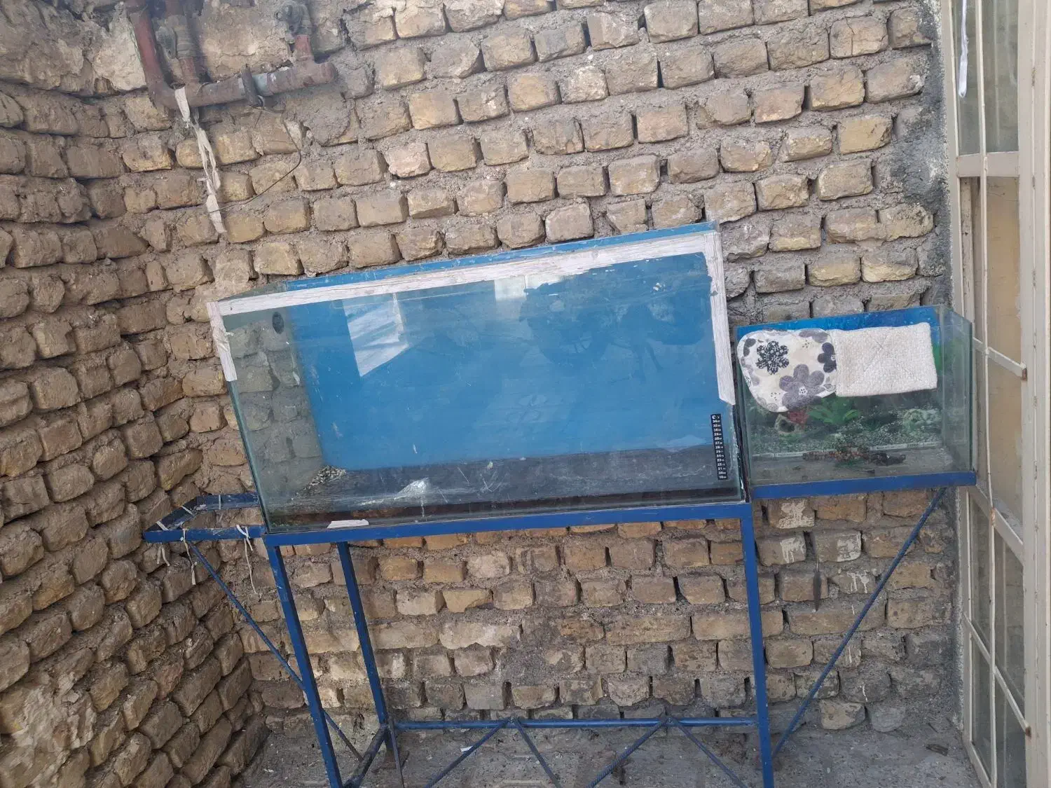 اکواریوم ۳ طبقه|ماهی|مشهد, شهید آوینی|دیوار