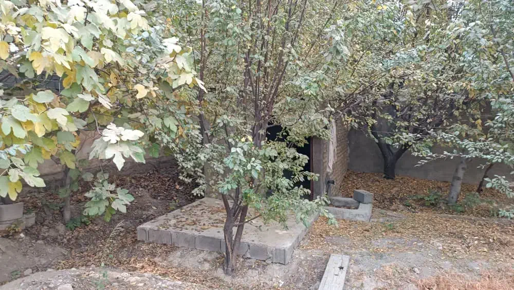 باغ|فروش خانه و ویلا|محمدشهر, عباس آباد|دیوار