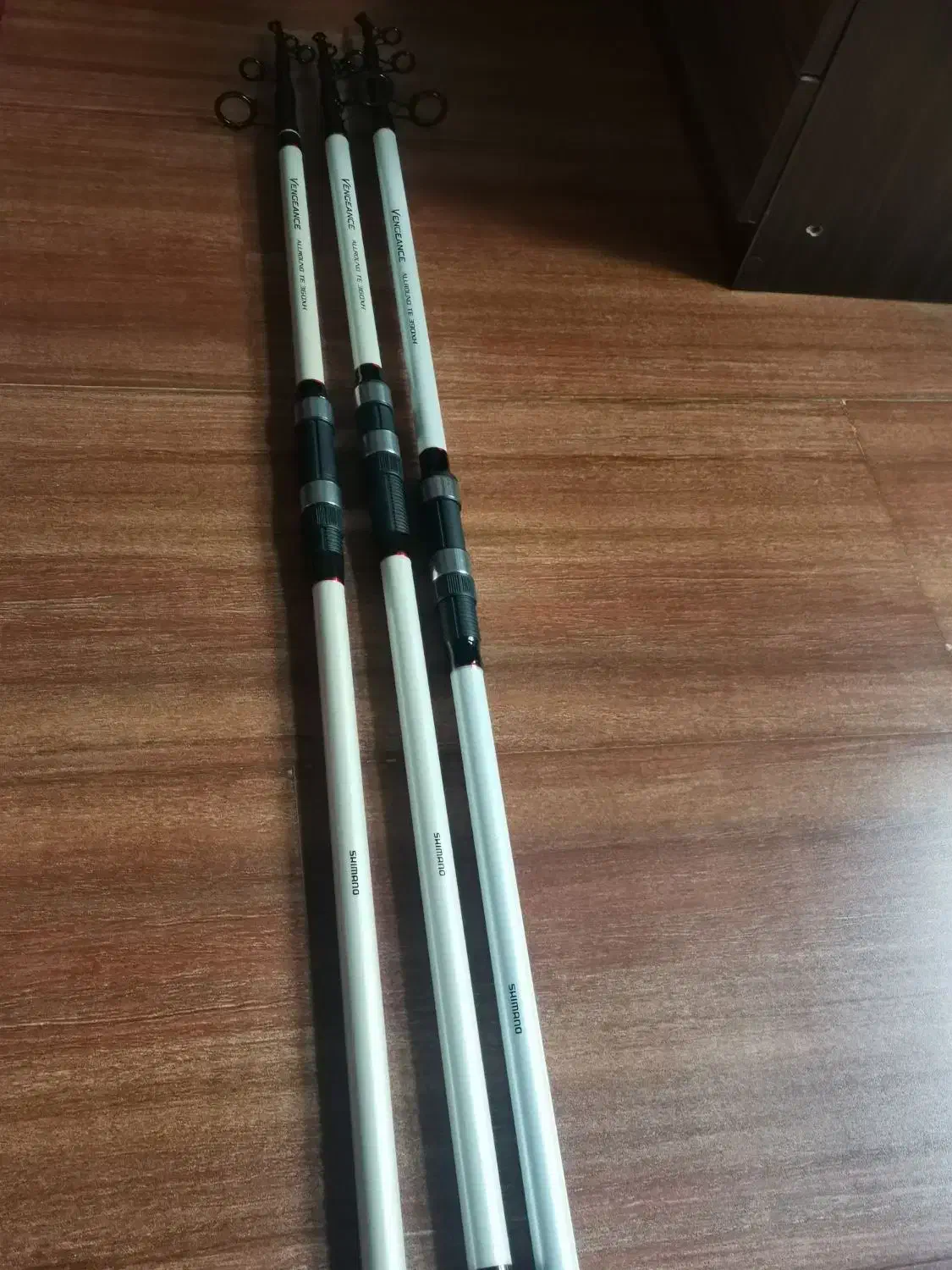 انتظاری و اسپین|ماهیگیری|رشت, پارک شهر|دیوار