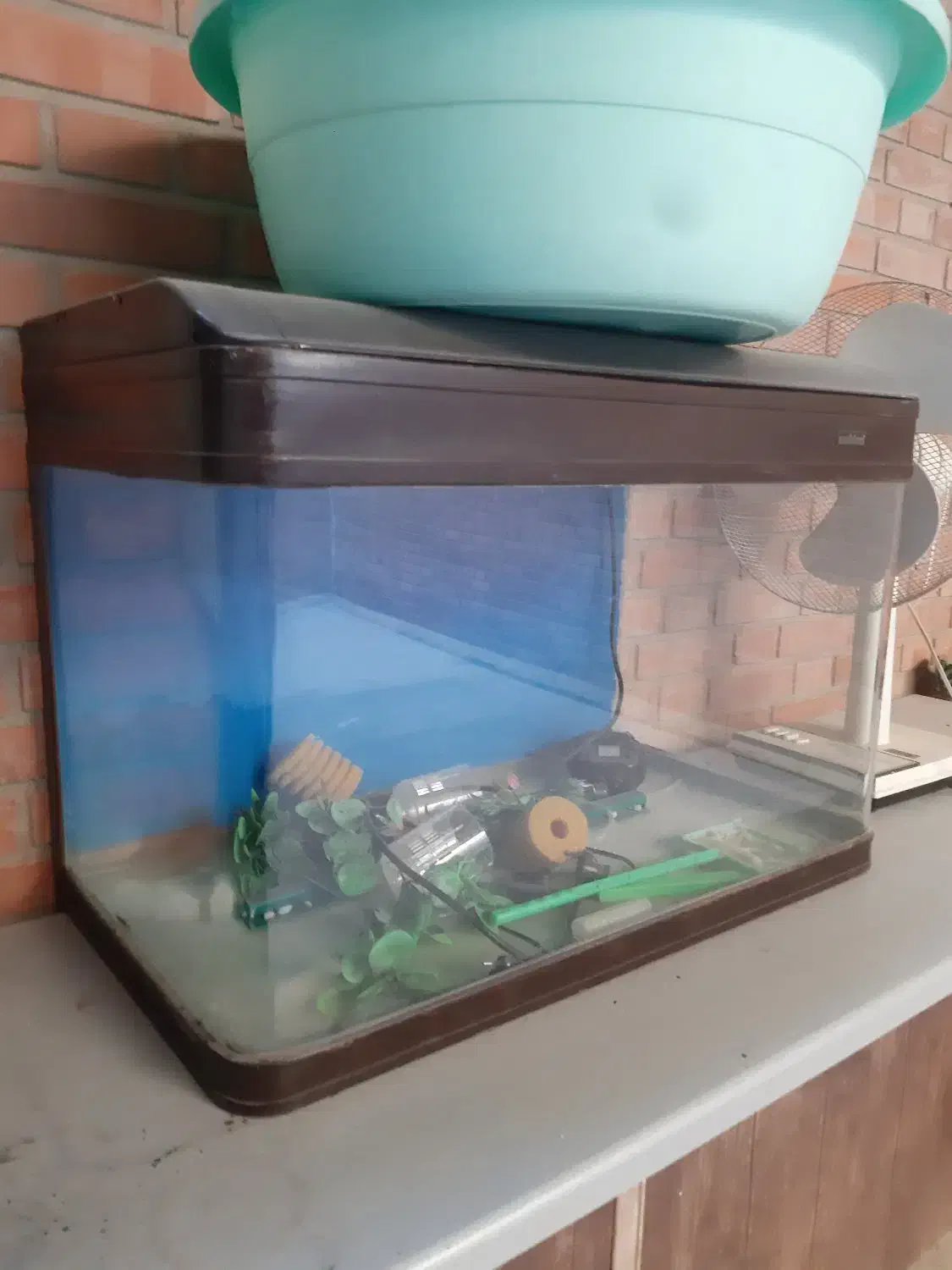 آکواریوم شرکتی با تمام لوازم|ماهی|دزفول, |دیوار